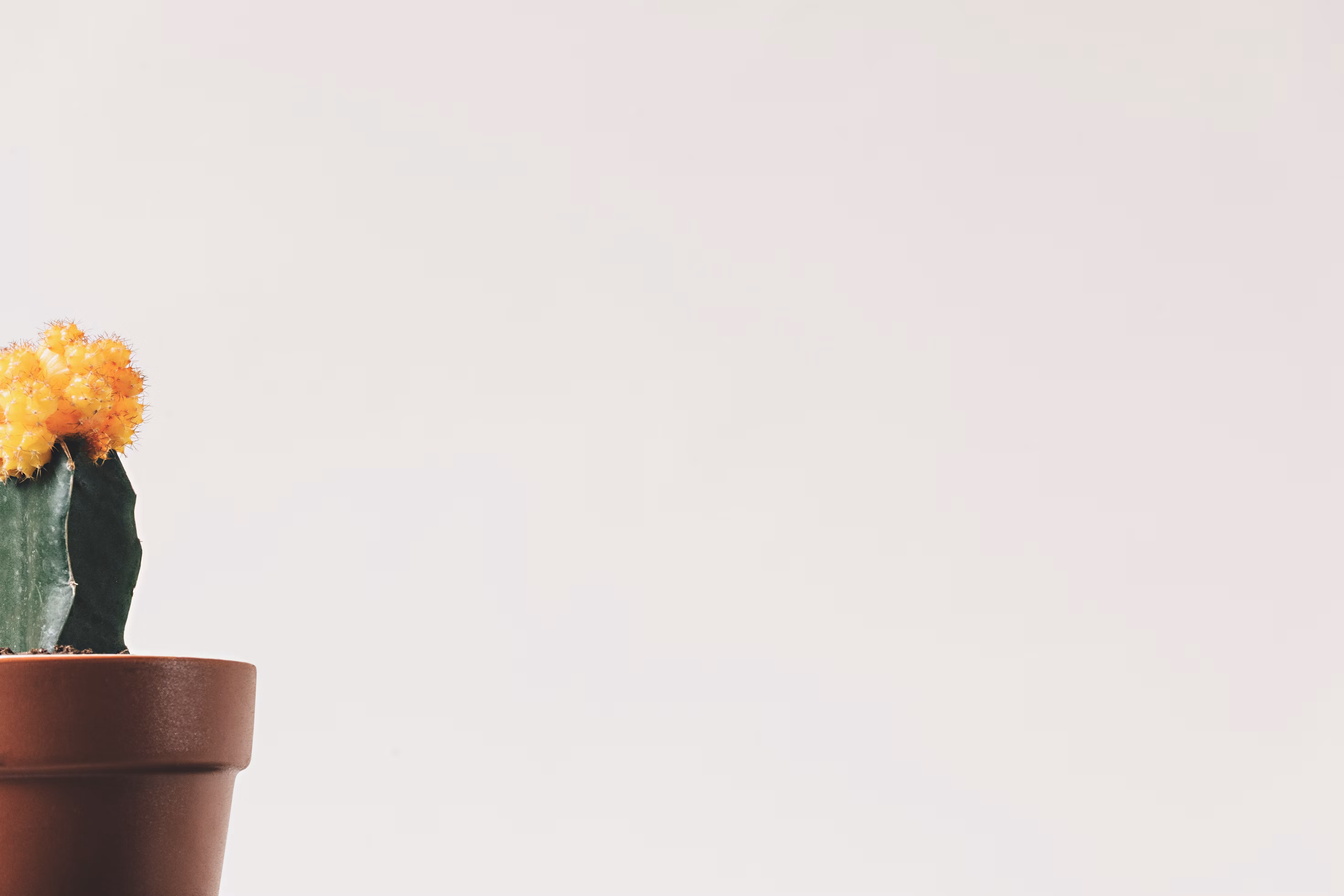 Customer lifetime value and segment prioritization dashboard